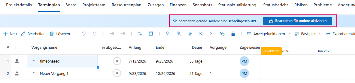 DE-CheckedOutProjektdetails_2