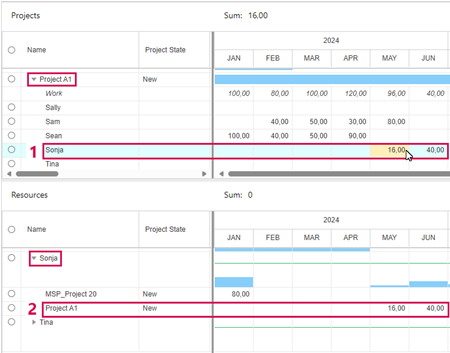 EditTimephasedData_1