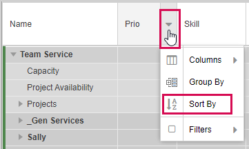 RowSortingCustomFields