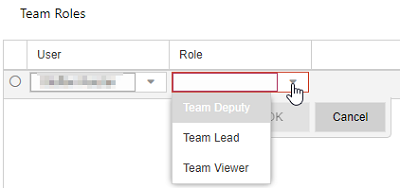 DefineTeamRoles