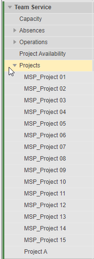 ProjectsTeamLevel