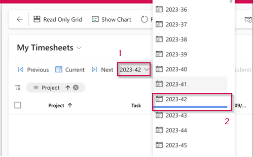 EN-TimesheetCurrentPeriodName